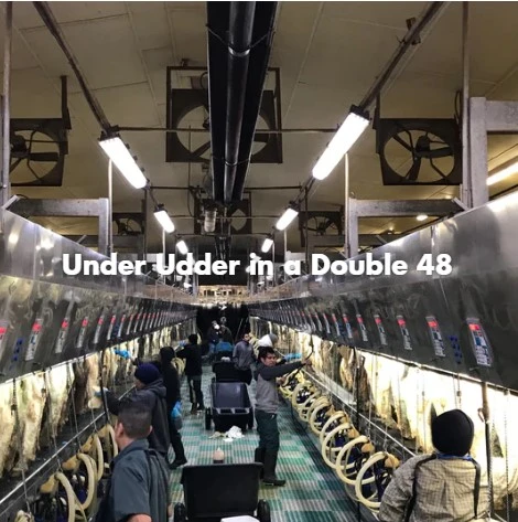 Under Under light application