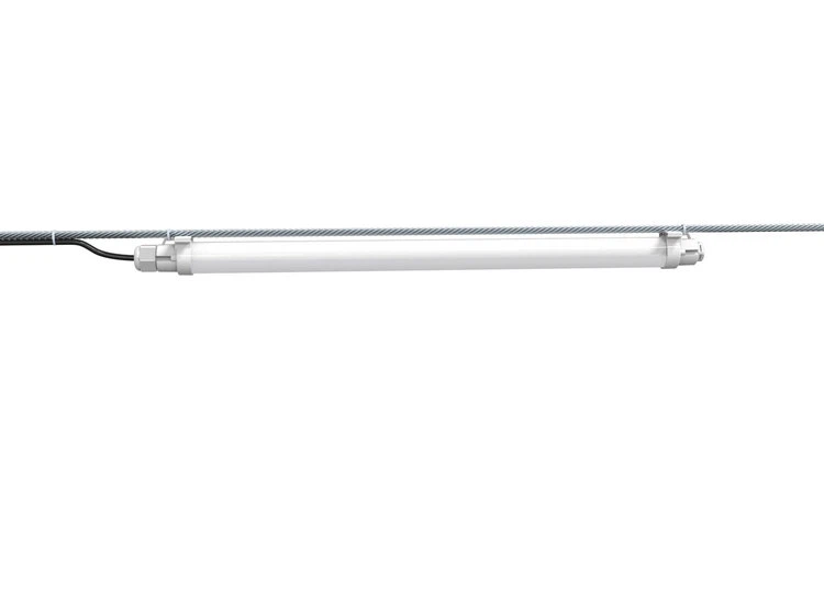 artificial lighting for chickens -