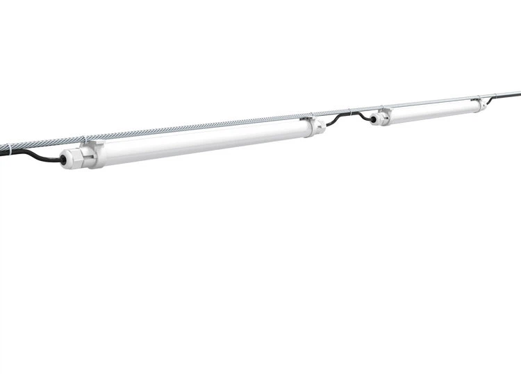 best light for chicken coop -