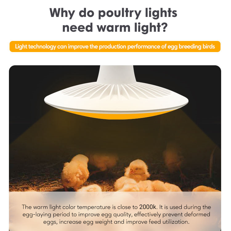 poultry led light bulbs poultry led light bulbs