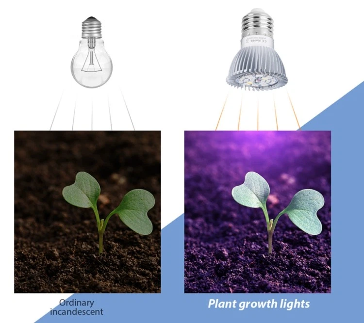 natural spectrum lighting bulb natural spectrum lighting bulb