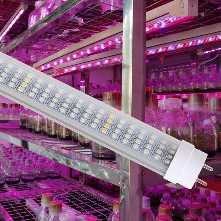 grow lamp for indoor plants grow lamp for indoor plants