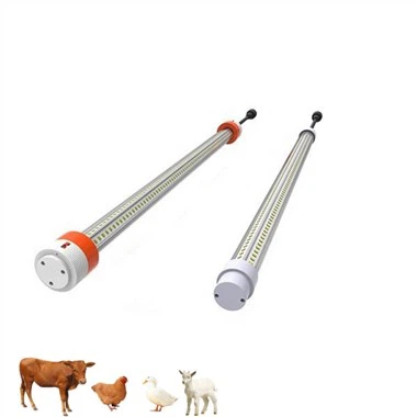 Luces para gallinero