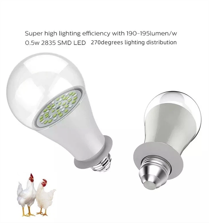 chicken lights led