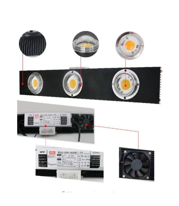COB LED Grow Light Full Spectrum 1