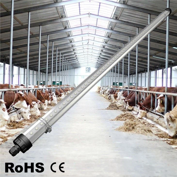 Dairy Cow Light With Intelligent Dimmer