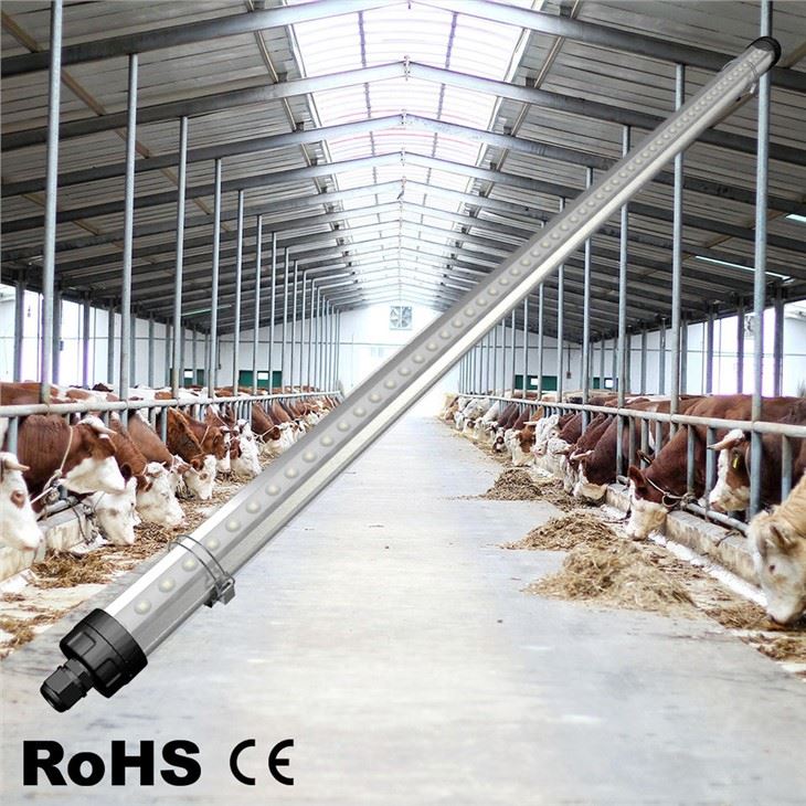 Industrial Barn Lighting