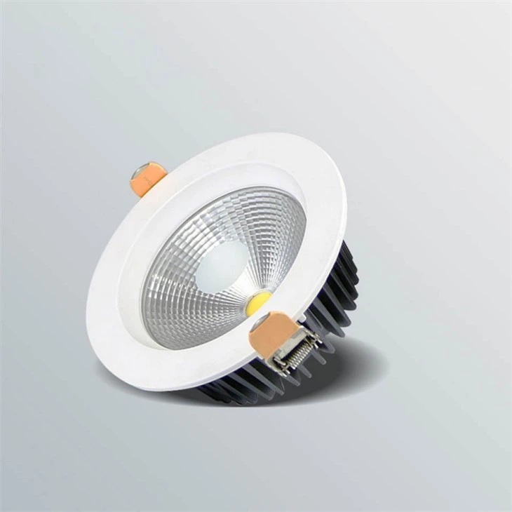 Outdoor Black Downlights