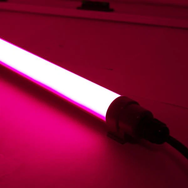 Luz LED roja para aves de corral