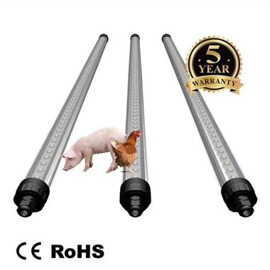 Tubo LED para aves de corral T8 de 20 W