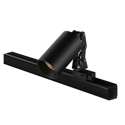 Luces de techo de riel negro