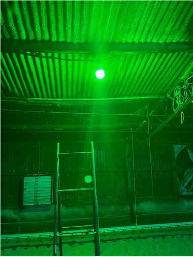 Bombilla LED regulable E27 IP65