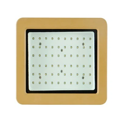 Luz de inundación a prueba de explosiones