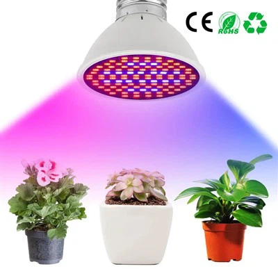 Luz de cultivo LED PAR38 15W
