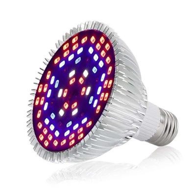 Bombillas de luz roja