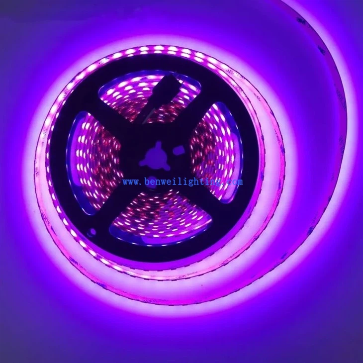 best outdoor waterproof led strip lights