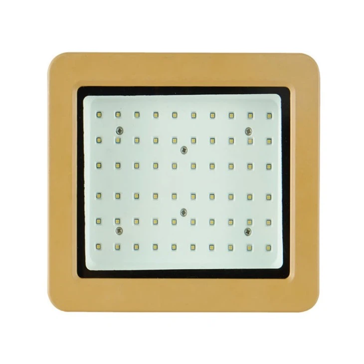 Best Marine Flood Lights