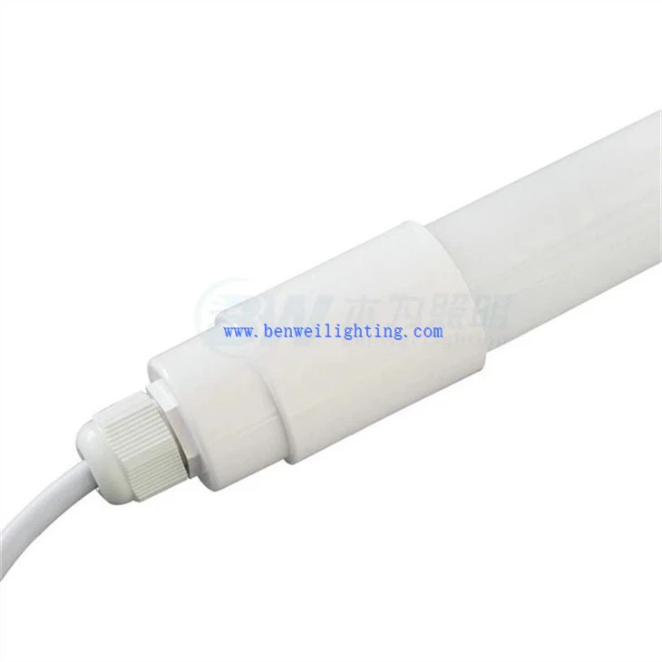 Cow Barn Poultry Light (2)