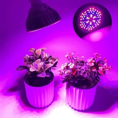 Cómo utilizar Grow Lights - La guía completa para el cuidado de las plantas d...