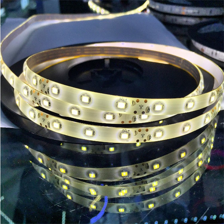 Low Voltage Strip Light 5