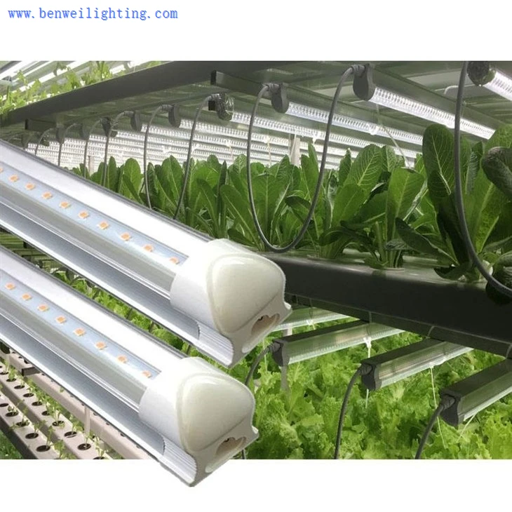 full spectrum grow lights