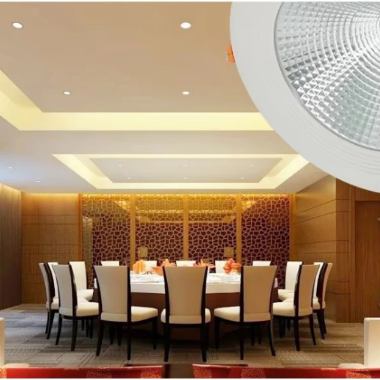 Ceiling LED Downlight Ceiling LED Downlight