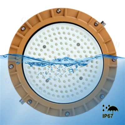 Luces de inundación llevadas a prueba de explosiones 100w