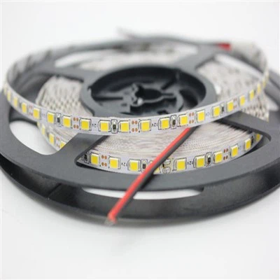 Tira de luces LED RGBW de 240 LED