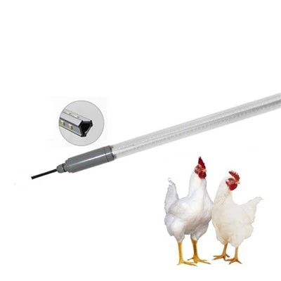 Luces de noche para pollos